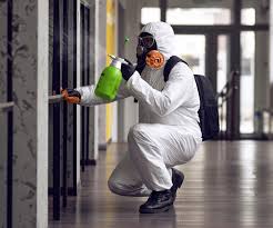 Reliable Lone Jack, MO Mold Removal Solutions